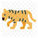 Tigre  Icono