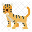 Tigre  Icono