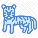 Tigre  Icono