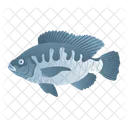 Tilapia-Fisch  Symbol