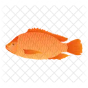 Tilapia-Fisch  Symbol