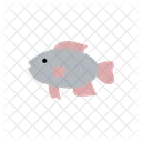 Tilapia Fish Farmed Icon