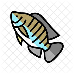 Tilapia Fish  Icon