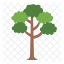 Tilia Tree Botanical Icon