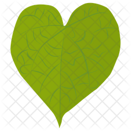 Tilia Cordata Icon