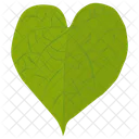 Tilia Cordata Leaf Heart Shaped Icon