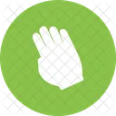 Tilted Hand Touch Icon