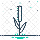 Timothy Grass Phleum Icon