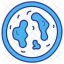 Tissue Engineering Science Regenerative Medicine Icon