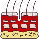 Tissue  Icon