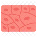 Tissue Body Tissue Connective Tissue Icon