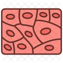 Tissue Body Tissue Connective Tissue Icon