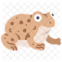 Toad Frog  Symbol