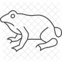 Toad Amphibian Slimy Icon