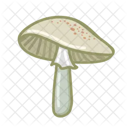 Toadstool  Icon