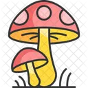 Toadstool Mushroom Fungus Icon