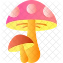 Toadstool Mushroom Fungus Icon