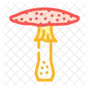 Toadstool Mushroom  Icon