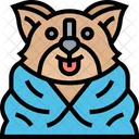 Toalla para mascotas  Icono