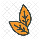 Tobacco Leaf  Icon