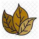 Tobacco Leaves Tobacco Leaf Cigarette Icon