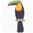 Toco Toucan Exotic Toco Icon