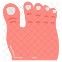 Toe Foot Foot Nails Icon
