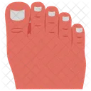 Toe Fingers Foot Icon