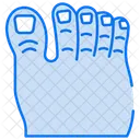 Toe  Icon