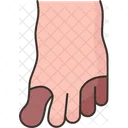 Toes Infection  Icon