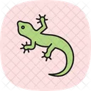 Tokay Lagartixa Tokaygecko Reptil Ícone