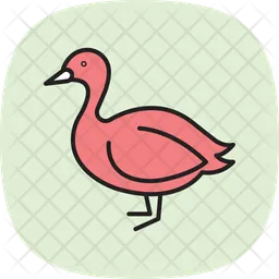 Tölpel  Symbol