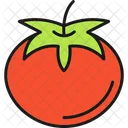 Tomate Fruta Tomate Icono