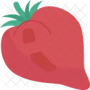 Tomate  Icono