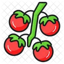 Tomate Tomates Manojo Icon