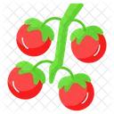 Tomate Tomates Manojo Icon