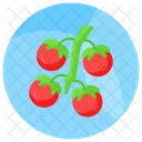 Tomate Tomates Manojo Icon