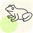 Grenouille Tomate Grenouille Tomate Amphibien Icône