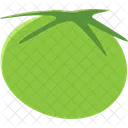Tomate verde  Icono