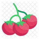 Tomaten  Symbol