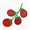 Tomaten Obst Frisch Symbol