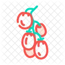 Tomatenzweig  Icon