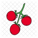 Tomates cherry  Icono