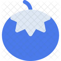 Tomato  Icon