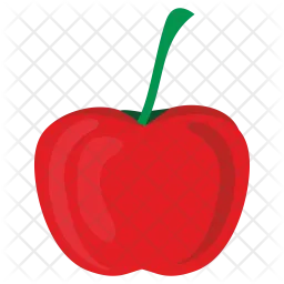 Tomato  Icon