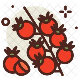 Tomato  Icon