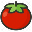 Tomato Vegetable Salad Icon