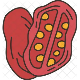 Tomato  Icon