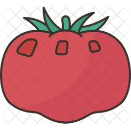 Tomato  Icon