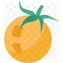 Tomato  Icon